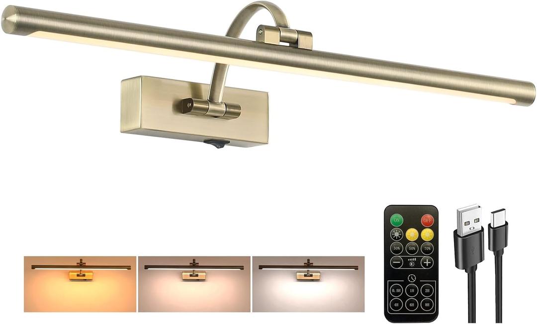 Tassuowell Antique Bronze Picture Light, 23.6 Inch Remote Control Painting Lights for Wall Cordless, 3CCT Dimmable Wall Lights for Pictures, Rechargeable Art Light for Pictures On Wall with Timer