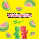 SOUR PATCH KIDS Watermelon Soft & Chewy Candy, Bulk Candy, 24 - 2 oz Bags