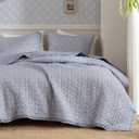 Madison Park Vintage Floral Quilt Set Queen Size, Reversible Bedding & Lightweight Bedspread Set, Traditional Block Print Coverlets with Ruffled Edge, 3-Piece with 2 Shams, Blue