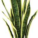 Ollain Artificial Snake Plant with Potted 23.6" Fake Plastic Sansevieria Faux Plants in Pot for Outdoor Window Box Verandah Planter Indoor Outside Home Garde Office Room Gardening Decoration (Yellow)
