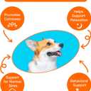Heartbeat Puppy Toys Dog Heartbeat Toy for Dog Anxiety Relief and Calming Aid, Heartbeat Stuffed Animal for Puppy Sleep Aid Crate Training, Puppy Essentials Needs Gifts