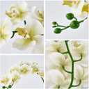 Sherika 38 Inch Orchid Artificial Flowers Real Touch Latex Fake Phalaenopsis Orchid Branches 9 Large Blooms, Faux Orchids Stems for Home Office Wedding Decoration(Green White, 2PCS)