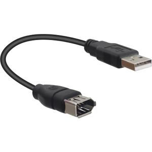 RIIEYOCA 20cm USB 2.0 Type A Male to IEEE 1394 Firewire 6Pin Female Data Adapter Converter Cord for Digital Camera,Camcorder,Laptop,DV,Black