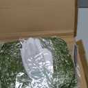 MGLIFEUL 12OZ Artificial Fake Moss for Crafts Plants Indoor with Non-Stick Gloves and TweezersPreserved Green Plant Faux Craft Moss Musgo for Fairy Garden Indoor Outdoor Home Decorating Model Making