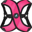 Gooby Comfort X Step in Lite Dog Harness - Choke Free, Escape Free with Light Breathable Mesh - Step in Dog Harness for Small Dogs Only - Quick Release Buckle, Metal D-Rings - Flamingo Pink, X-Small (X-Small (11.8-14"))