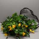 AirSun Artificial Morning Glory Flower Vines, 2pcs 15Feet Hanging Plants Silk Garland Fake Green Plant Home Garden Wall Fence Indoor Outdoor Wedding Birthday Decor (Yellow)