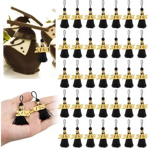 60 Pcs 2025 Mini Tassels for Craft 2.4inch Graduation Tassels Party Favors Mini Bookmark for Graduation Decor, Chocolates Decor, Keychain Making(Black)