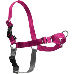 PetSafe Easy Walk Harness for Dogs - Pull-Free Walks - Patented Martingale Loop Design - Front Chest Leash Attachment - Comfort Straps - Breathable Harness Design - Small Raspberry/Gray