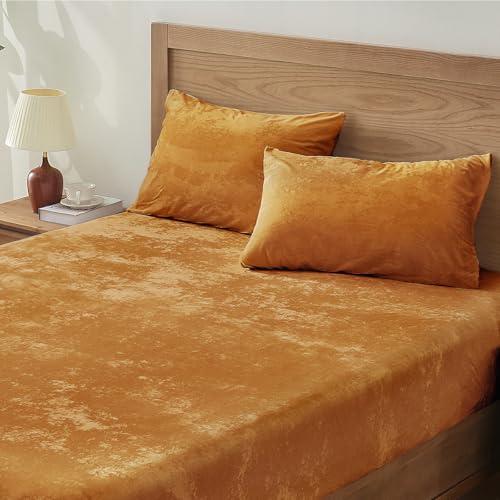 BEDELITE Velvet Fitted Sheet and Pillowcases Set, Luxury Soft Fuzzy Bottom Sheet with Reinforced Elastic Corner Straps, Deep Pocket up to 15", 1 Fitted Sheet and 2 Pillowcases (Queen, Burnt Orange) : Home & Kitchen