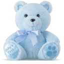Chalyna 10 Inch Bear Stuffed Animal Gift First Bear Baby Shower Plush Toy for Wedding Birthday Back to School Gift(Blue)