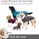 BellyGuard Recovery Suit for Dogs, Comfy Dog Surgery Suit, Female Spay and Male Neuter Onesie for Post-Op Care (Large, Grey)