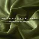 Ivellow Velvet Duvet Cover Queen Set Sage Green Comforter Cover 3Pcs Ultra Soft Cover Breathable Solid Luxury Flannel Velour Duvet Cover Zipper Closure Corner Tie