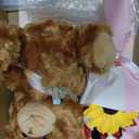 Motionchic Graduation Bear Gift Set Class of 2026 Graduation Stuffed Animal Bear with Gown Cap Tassel Class of 2026 Grad Card Soap Artificial Flower Box Grad Gifts for Her Him(Pink)