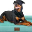 Large Dog Bed Orthopedic Washable: Beds Bolster XXL Bed Big XLarge Dogs Egg Crate Foam Sofa Couch Waterproof Removable Cover - Aqua Blue (44.0"L x 34.0"W x 6.5"Th)