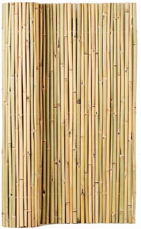 Mininfa Natural Rolled Bamboo Fence, Eco-Friendly Bamboo Fencing, 4 ft High x 6 ft Long Mininfa Natural Rolled Bamboo Fence, Eco-Friendly Bamboo Fencing, 4 ft High x 6 ft Long