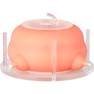 Puppy Feeder for Multiple Puppies, Pet Milk Feeder with Silicone Dog Nursing Station of 4, Puppy Milk Replacer for Puppies/Kittens