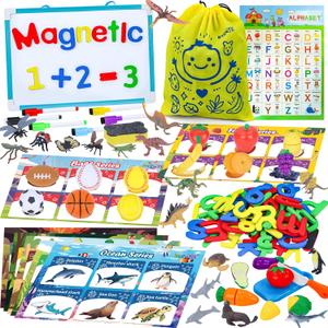 Sorting Toys for 3-5 Year Olds, 7 Themed Matching Games with Magnetic Whiteboard, Montessori Fine Motor & Writing Practice, Speech Therapy & Classroom Learning Gift