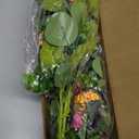 2 PCS 24'' Spring Swags for Front Door Artificial Tulip Teardrop Swags Lavender Butterfly Eucalyptus Swags Wreath Spring Summer Floral Hanging Swags for Farmhouse Wedding Cabinet Home Outdoor Decor