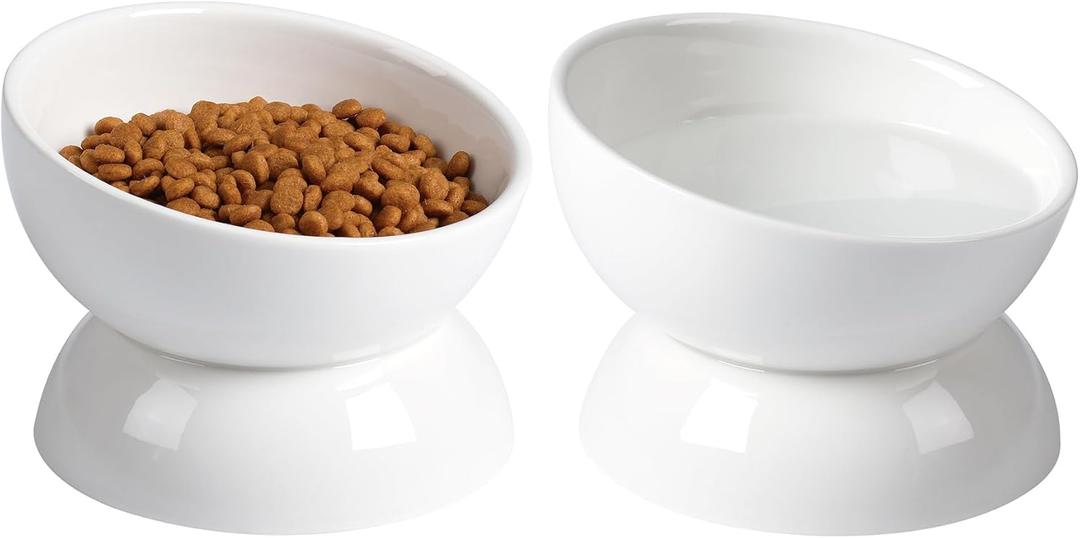 Cat Water Bowl, 16 OZ Ceramic Elevated Cat Bowls, 15 Tilted and Raised Pet Food Dish, Anti Vomiting Protect Pets' Spines and Whisker Fatigue (2 Pack, White)