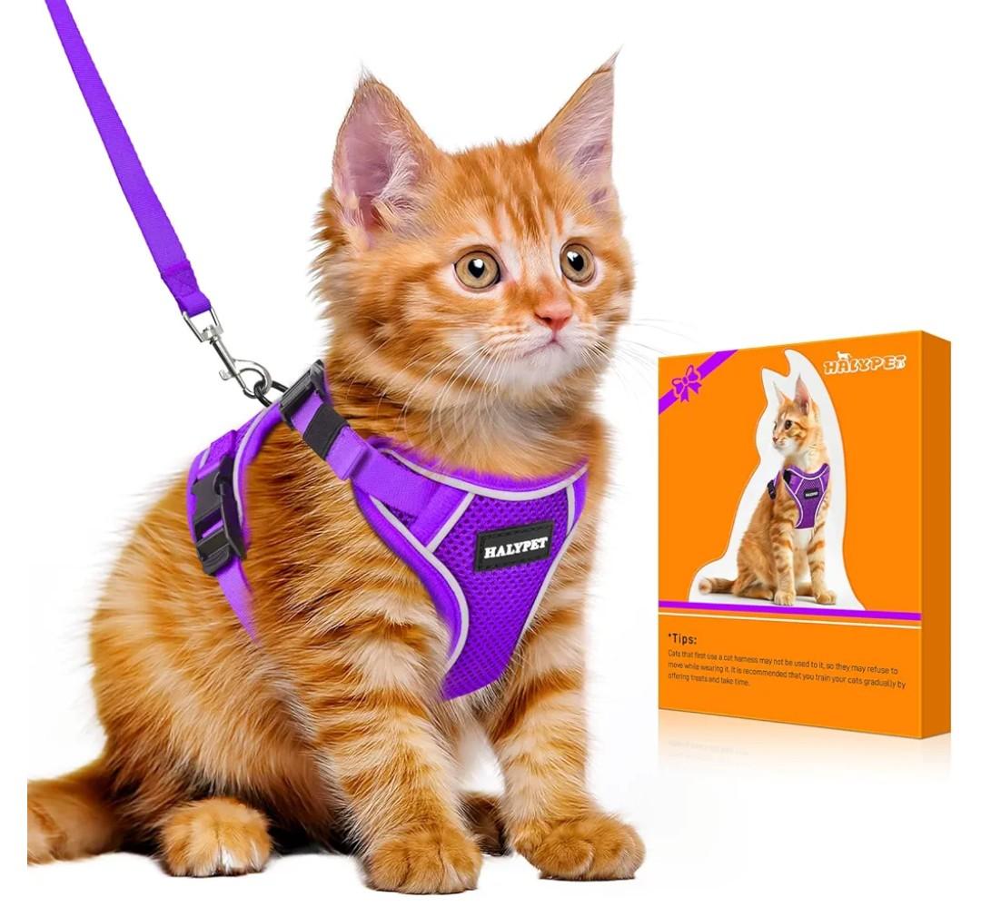 Halypet Cat Harness and Leash Set [MAX Safety 4th-Gen Upgrade] Escape Proof Adjustable Cat Leash Comfortable Soft Vest Easy to Wear Kitten Harness with Reflective Strip for Cats Walking, XS Purple