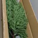 4FT Pre-Lit Artificial Norfolk Pine Christmas Tree  Realistic Potted Tree with 100 LED Lights & 8-Function Battery Box, Pre-Assembled Faux Holiday Dcor for Indoor Use (2)