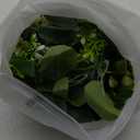 KHOYIME Artificial Eucalyptus Garland with Flowers 2 Packs 5.9Ft Willow Eucalyptus Leaves Plant Fake Greenery Hanging Vines Faux Silk Ivy for Wedding Arch Home Table Decor Backdrop Indoor Outdoor