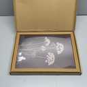 2Pcs Framed Moody Botanical Wall Art with Wood Frame Vintage Queen Annes Lace Flower Canvas Paintings Rustic Floral Poster Picture Prints Decor for Farmhouse Living Roomor Bedroom12X16Inch