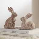 DN DECONATION Set of 2 Easter Bunny Figurines, Brown Resin Rabbit Statue Decor, Ornaments for Spring Home Decor, Bunny Decorations for Coffee Table Shelf Mantel, Decorative Rabbit Figurines Gift