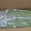 Jexine 4 Pack 20" Artificial Grass Arrangement with Flowers & Butterflies Pre-assembled Fake Plants with Foam Base for Planter Box Vase Pot Indoor Fake Greenery Decor for Home Office Table Centerpiece