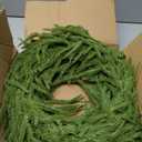 XmasExp Norfolk Pine Wreath 15INCH Real Touch Artificial Evergreen Realistic Faux Plain Christmas Wreath for Front Door,Mantles,Windows