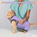 PUMYPOREITY Cat Recovery Suit for Hind Legs, Cat Surgical Spay Suit with Leg Sleeves to Stop Licking, Long Rear Sleeve Wound Cover Abdomen Kitten Onesie, Purple, S