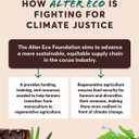 6 x Alter Eco | Dark Chocolate Bars | Pure Dark Cocoa, Fair Trade, Organic, Non-GMO, Gluten Free (Mint Blackout) (EXP 04/17/27)