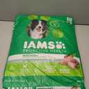 IAMS Proactive Health Adult Minichunks Premium Dry Dog Food, Adult Dog Food Dry Recipe, 30 lb. Bag (EXP 12/17/25)