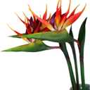 3 Pcs Large Bird of Paradise 32 Inch Permanent Flower,UV Resistant No Fade Flower Part is Made of Soft Rubber PU,Artificial Flower Plants for Home Office,Flower Stem 1/2 Inch,Orange Red