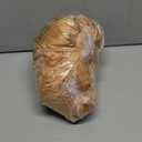 Disguise womens Nala Adult Jumpsuit Costume, L/XL