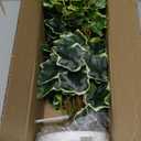 Hollyone Fake Hanging Plants with Pots, Artificial Potted Ivy Vine Faux Ivy Leaves Hanging Greenery Plants for for Home Ceiling Bedroom Living Room Garden Front Porch Table Shelf Wall Decoration