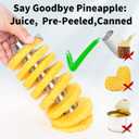 Newness Pineapple Corer and Slicer Tool, Robust Pineapple Core Remover with Upgraded Cutter & Reinforced Thicker Blade, Stainless Steel Kitchen Fruit Gadget for Diced Pineapple Rings (Black)