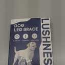 Dog Leg Braces for Rear Leg & Ankle Support - Adjustable Double Strap Brace for Senior Dogs | ACL, Ligament Injury Recovery & Hock Protection (Medium)