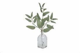 14in Sage Leaf Stem In Smooth Vase