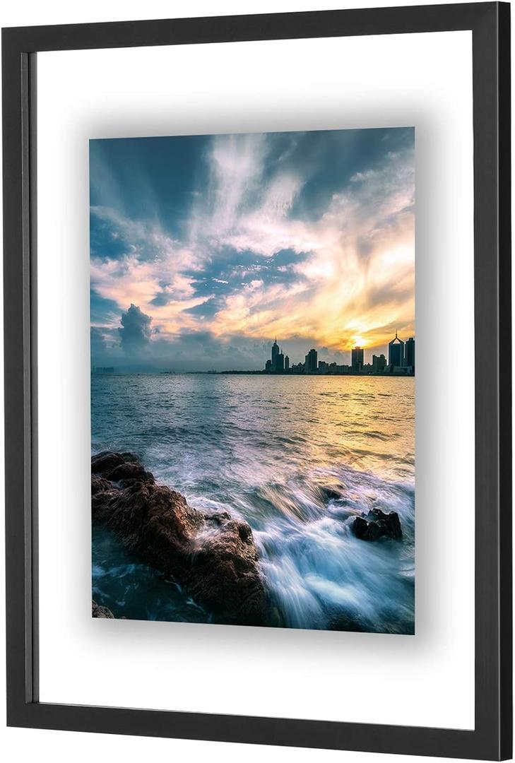ONE WALL 16x20 Inch Floating Frame, Black Wood Double Glass Float Picture Frame Display 16x20/11x14 Inch Photos or Plant or Petal Specimens for Wall Hanging - Mounting Accessories Included
