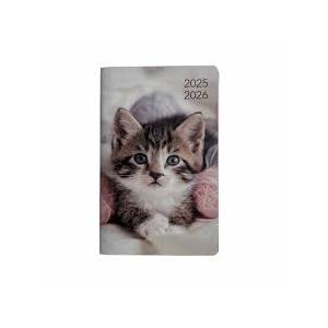 Monthly Planner 2025-2026 Year Basis For 2 Years Pack Of 2