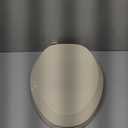 B1TSPE Elongated Plastic Toilet Seat with Adjustable Hinge, Bone