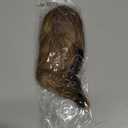 10 Inch Short Ponytail Extension - Clip in Ponytail Hair Extensions, Straight Pony Tails Hair Extensions, Synthetic Claw Clip Ponytail Extension for Women (Color: Light Brown Mixed Blonde)