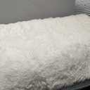Cream White Plush Rug for Living Room Fuzzy Carpet for Bedroom Dorm, Non-Slip High Pile Rug, Shag Rug for Playroom Nursery Home Office Decor 4X6 Ft (4x6 Feet)
