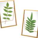 TLBTEK 2 Pcs 6x8 inch Desk double glass Photo frames kit,Gold brass metal Picture Frame vertical for Pressed Flowers,Clear DIY Vintage Artwork Display Frame
