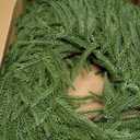 DR.DUDU 6FT Christmas Norfolk Pine Garland, Artificial Greenery Garland Christmas Decorations Indoor for Mantle Fireplace Stairs, Xmas Home Dcor