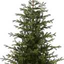 National Tree Company 'Feel Real' Artificial Christmas Tree - Norwegian Spruce Tree - 7.5 ft