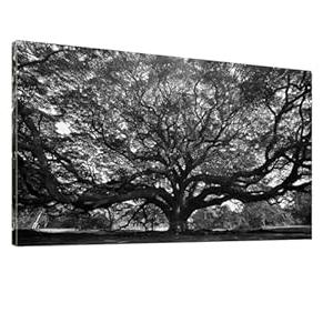 Black White Big Tree Bathroom Canvas Wall Art -Large Nature Tree Art Wall Decor Framed for Office Bedroom Living Room-20"x40"
