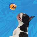 Nerf Dog Tennis Ball Dog Toys with Interactive Squeaker, Lightweight, Durable and Water Resistant, 1.75 Inches, For Small Breeds, Mixed Colors, 4 Count(Pack of 1)