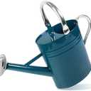 1 Gallon Metal Watering Can with Removable Spout, Nice Galvanized Steel Water Can with Embossed Design for Indoor and Outdoor Plants (Ocean Blue)